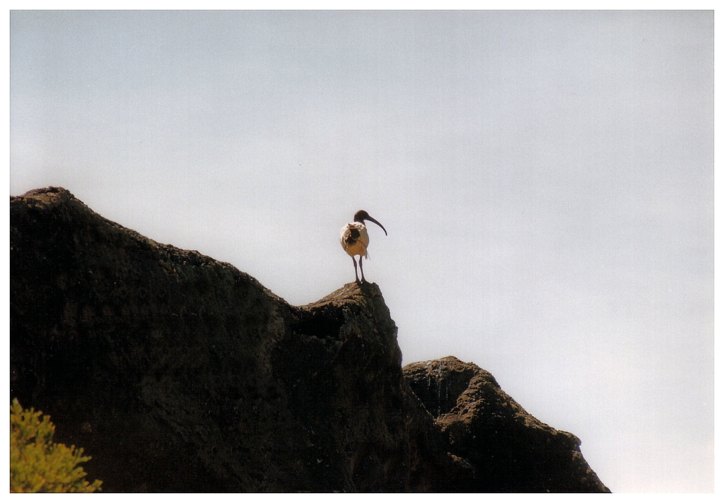 04 - Queensland (5).jpg